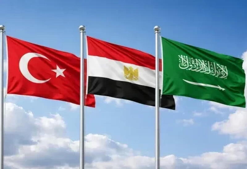 
Турция, Египет и Саудовская Аравия хотят создать консорциум по нефти