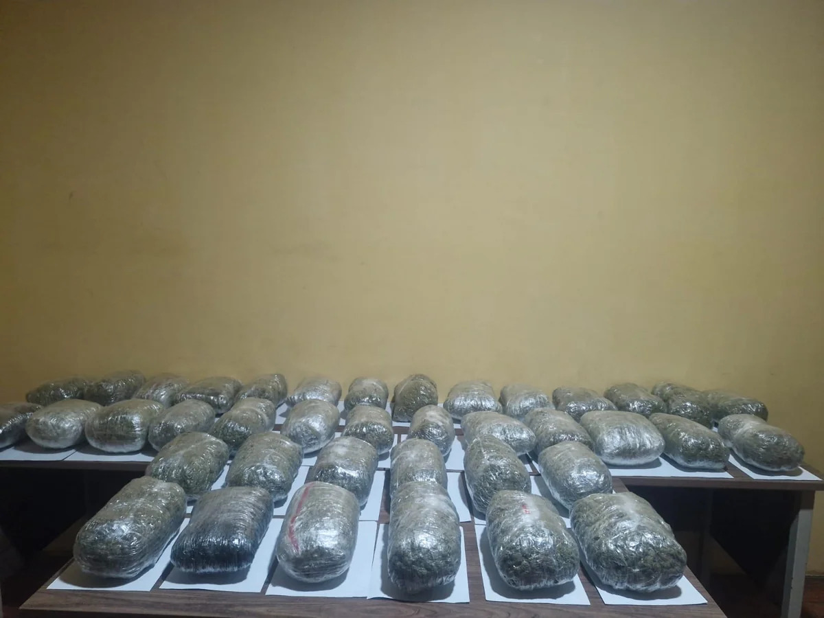 
Пограничники пресекли контрабанду более 51 кг наркотиков из Ирана в Азербайджан