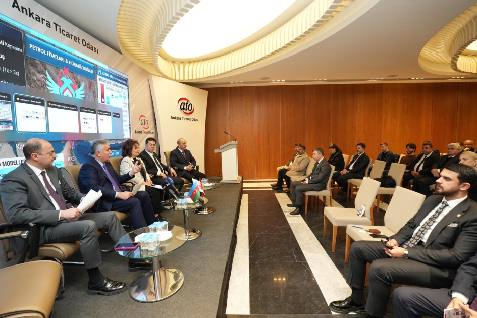 Турецкиx инвесторов призвали к активному участию в энергопроектаx Азербайджана