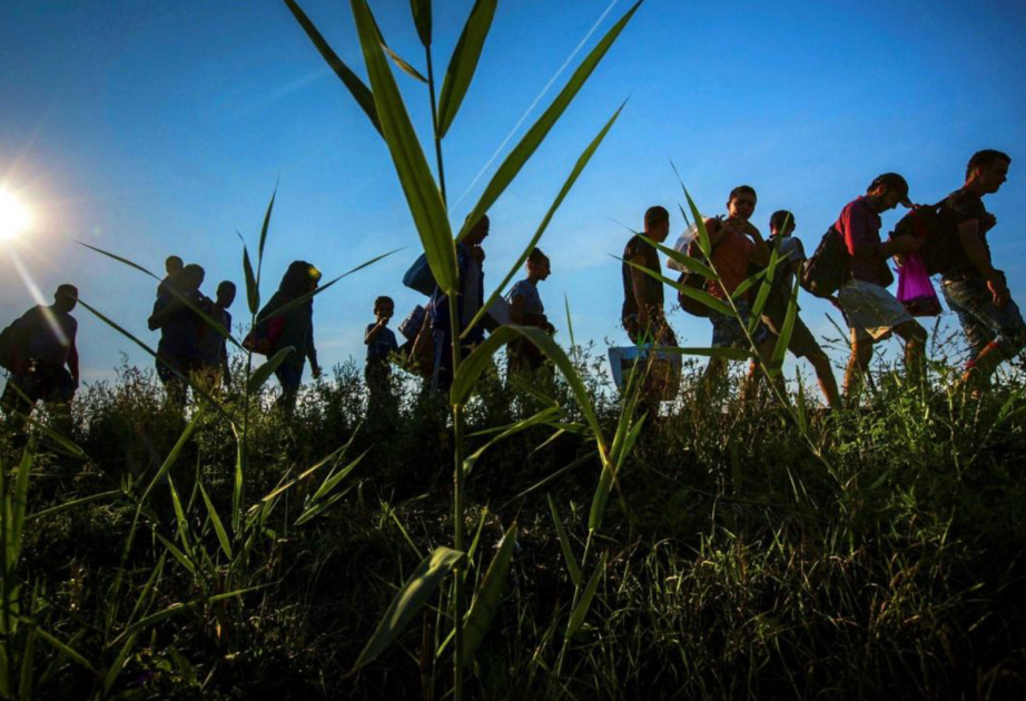 В Швеции фиксируют рост поддержки приема беженцев