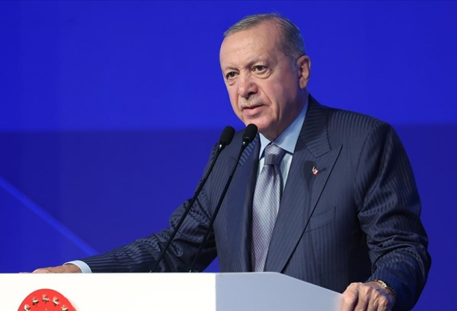 Президент Эрдоган: Процессы в регионе продемонстрировали значимость кибербезопасности