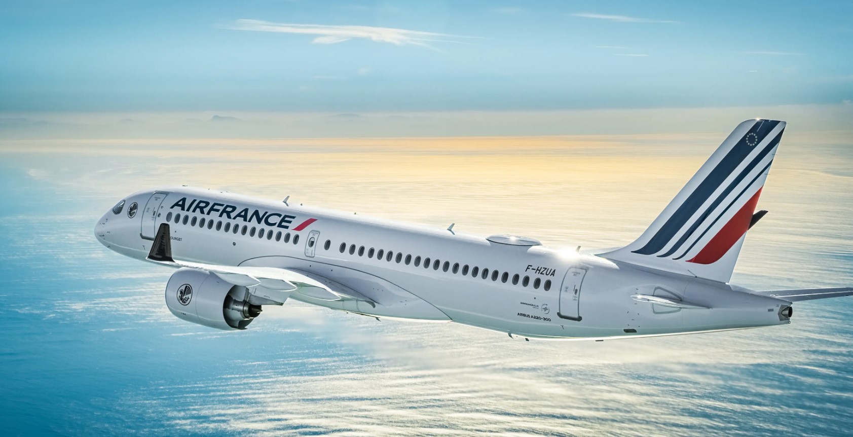 Air France отложила возобновление рейсов на Ближний Восток