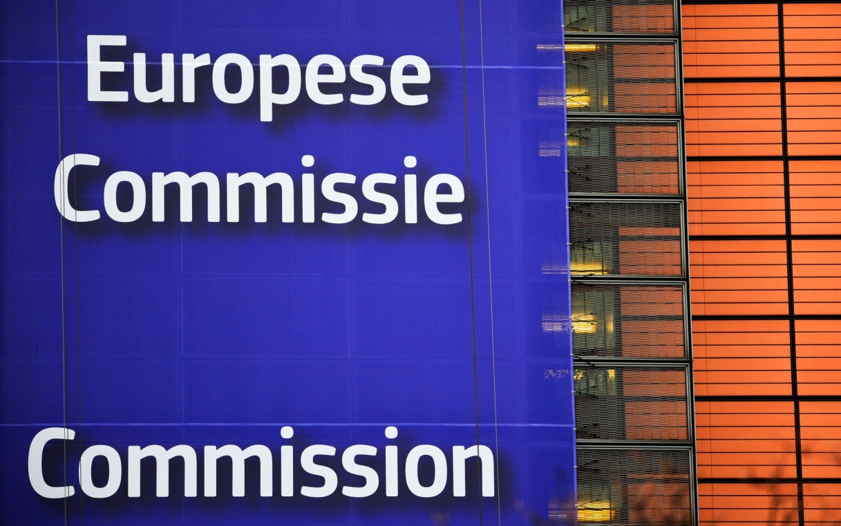 Еврокомиссия посоветовала Киеву обойти вето Венгрии с помощью 11 законов