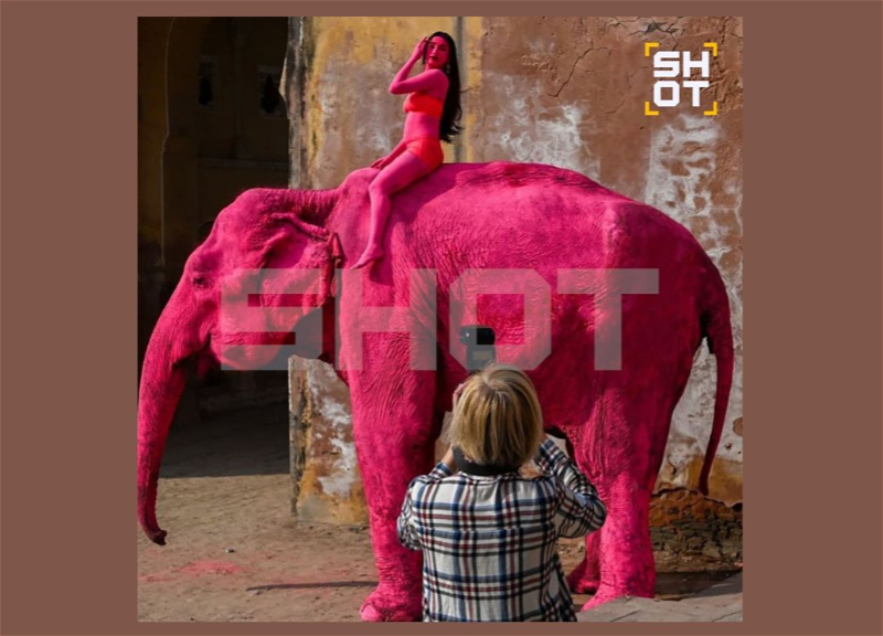 Россиянка покрасила слона в розовый цвет для фотосессии в Индии