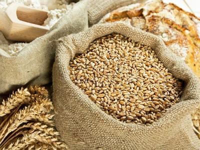 Кто станет ведущим импортером пшеницы?
