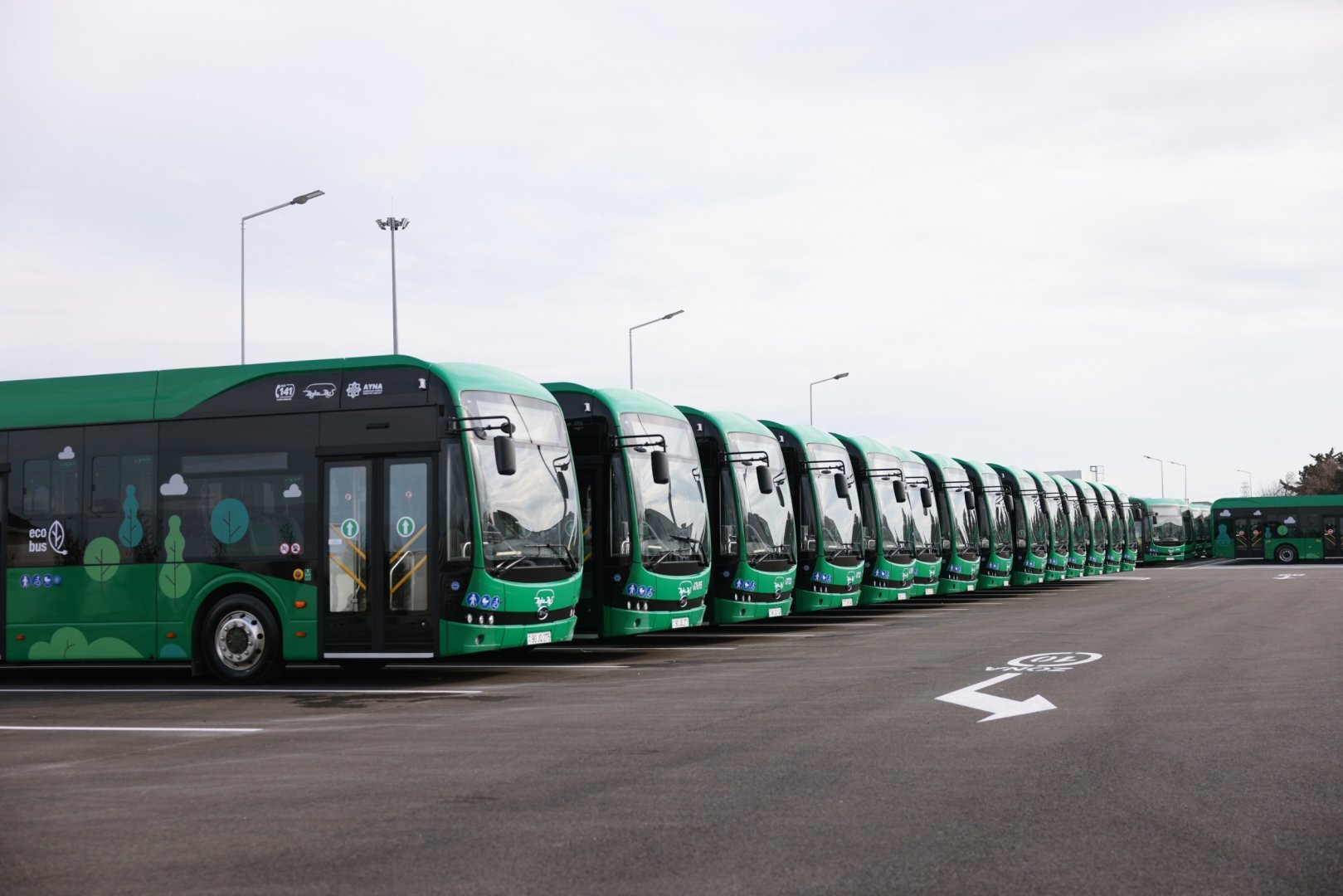 
Названо количество электробусов, импортированных Азербайджаном из Китая