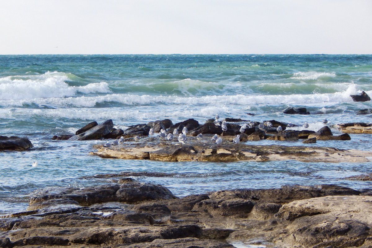 Каспий в зоне риска 