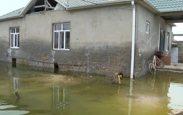 Дожди обрушили цены
