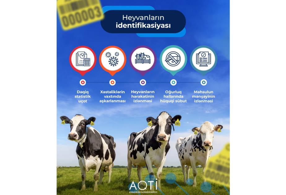 
Как узнать, где и как производится продукция животного происхождения?