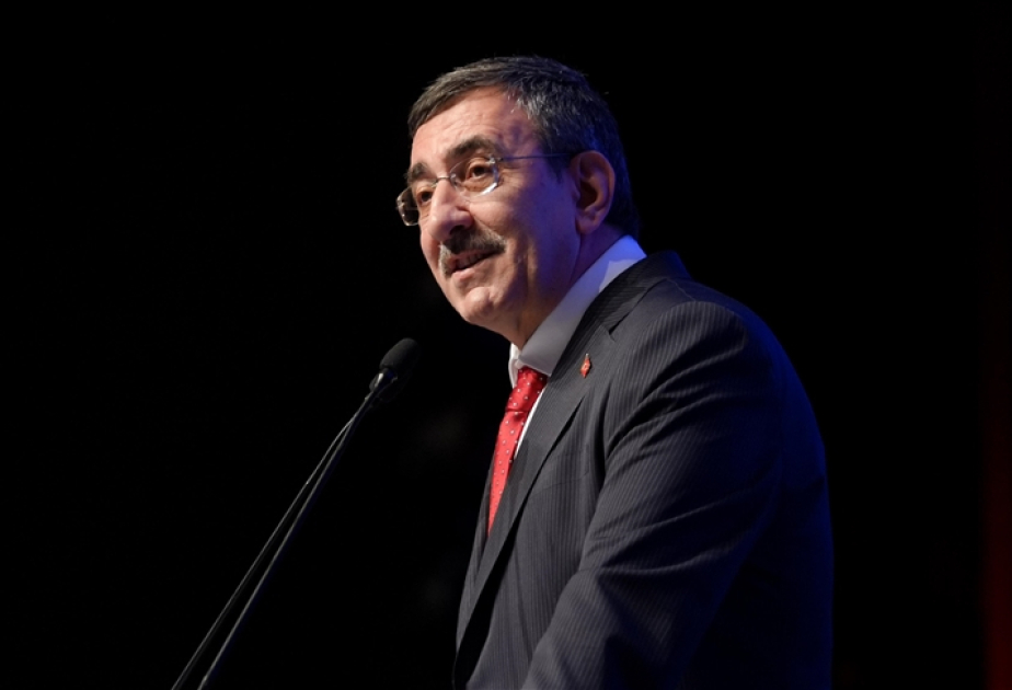 Вице-президент Турции: Надеемся на временный xарактер роста цен на топливо