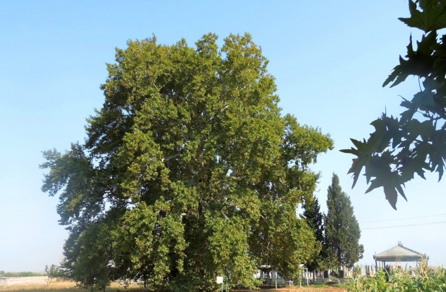 Душевный покой под сенью вечности
