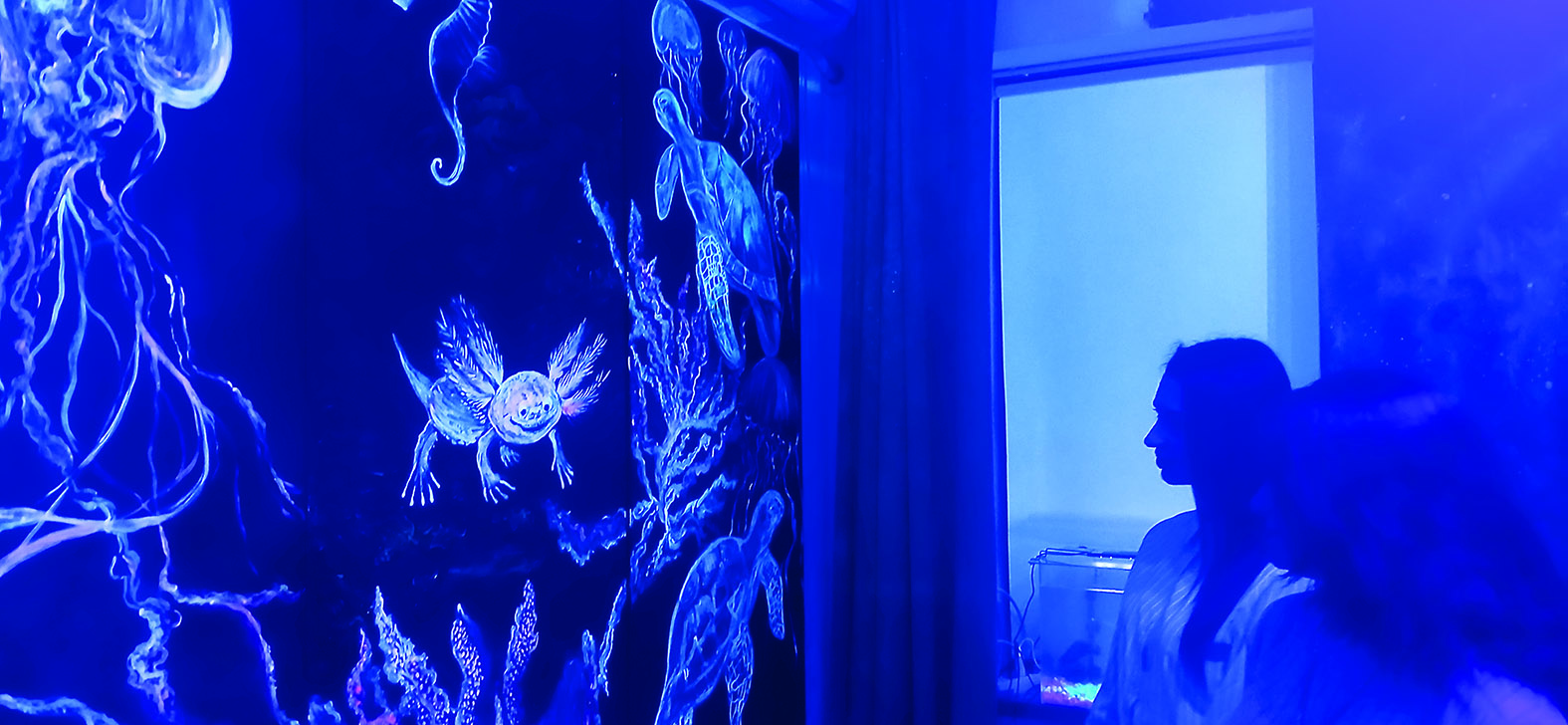 Неоновый свет полярного сияния в Новханы