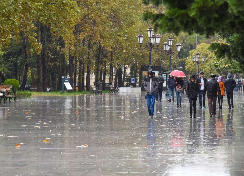 Завтра в Баку и на Абшероне ожидаются интенсивные дожди