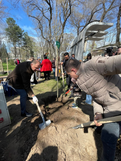 Конгресс азербайджанцев Молдовы принял участие в закладке Аллеи этносов в Кишинэу