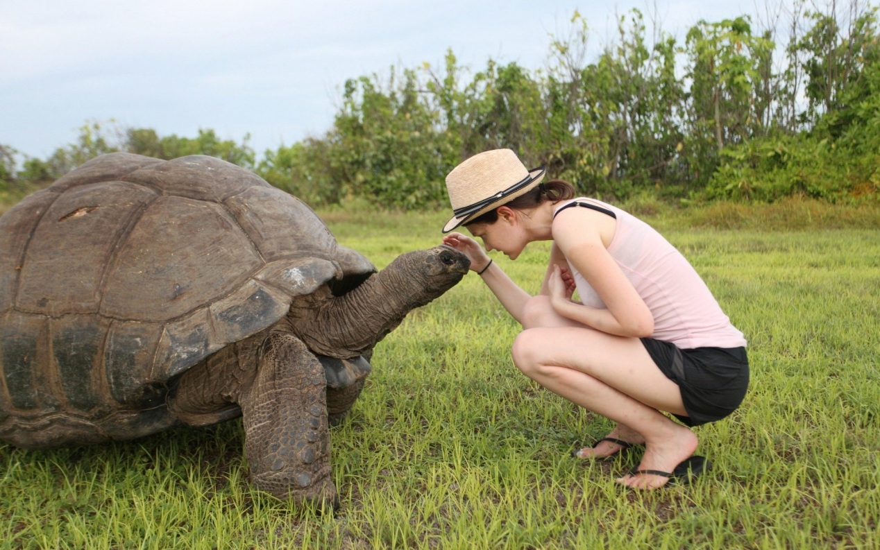 Появилась новая кандидатура на звание самого старого наземного животного в мире