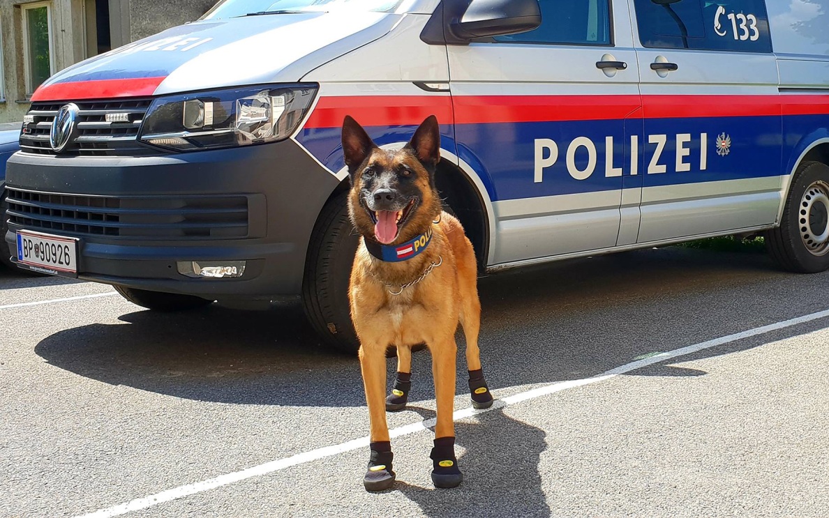 В Вене прошел митинг за нейтралитет Австрии