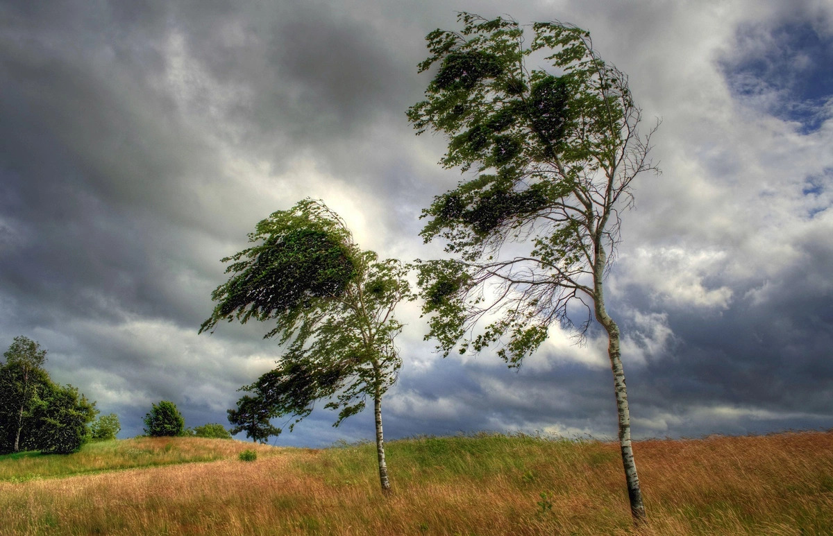 
В Азербайджане объявлено желтое и оранжевое предупреждение в связи с ветром