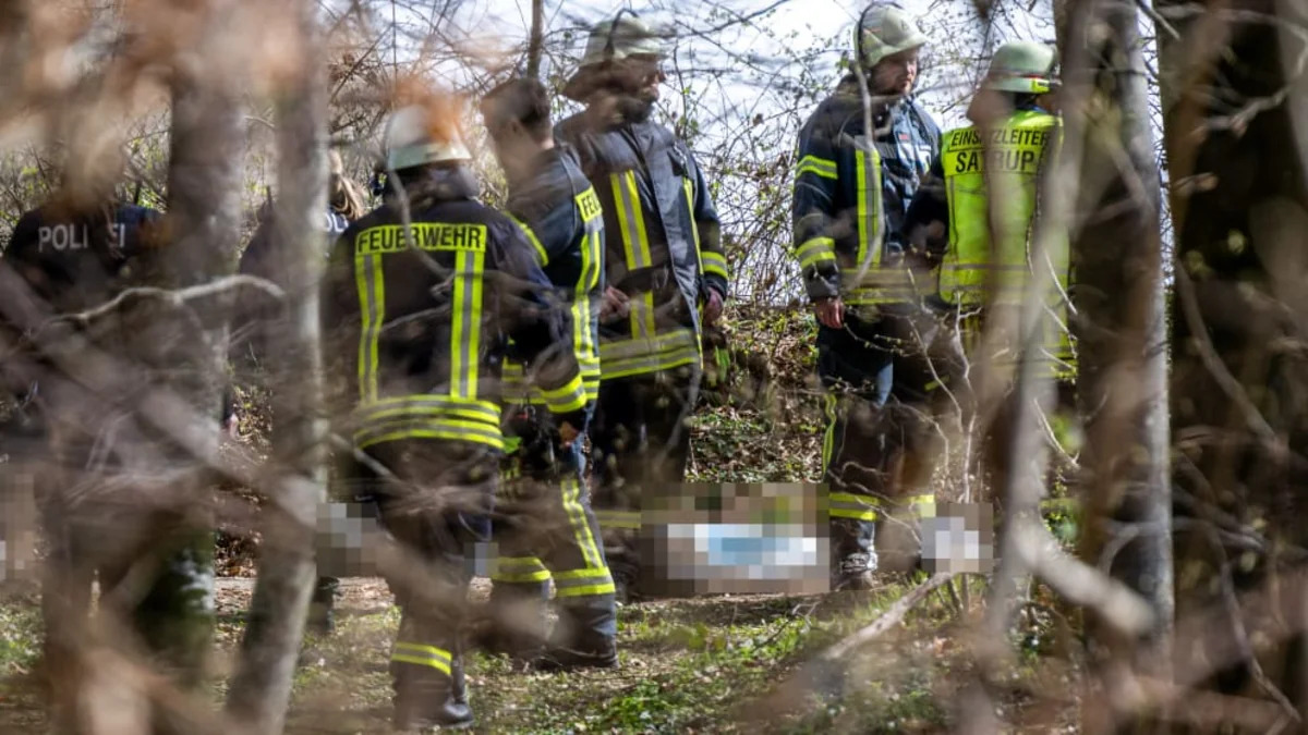 В Германии сильный ветер повалил дерево на людей, погибли три человека