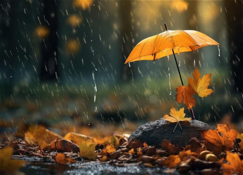 Местами идут сильные дожди, в горах - снег: ФАКТИЧЕСКАЯ ПОГОДА