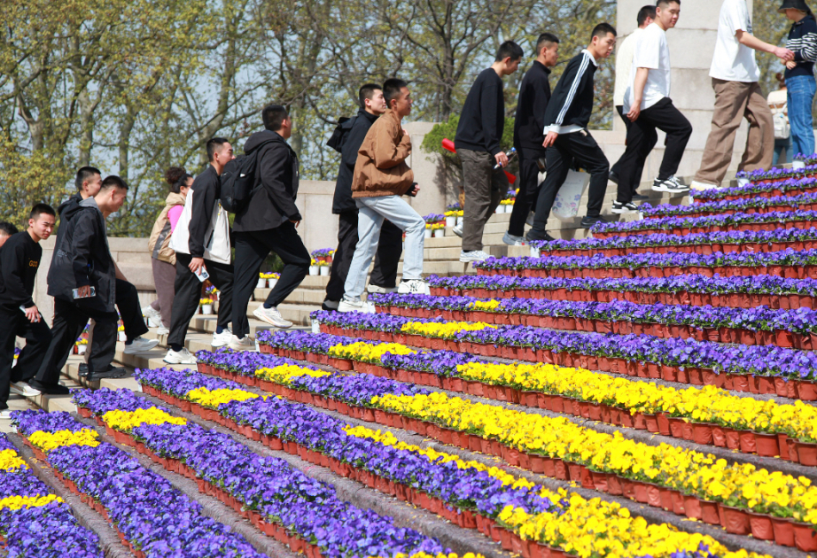 
В Китае укореняются экологичные способы погребения усопших