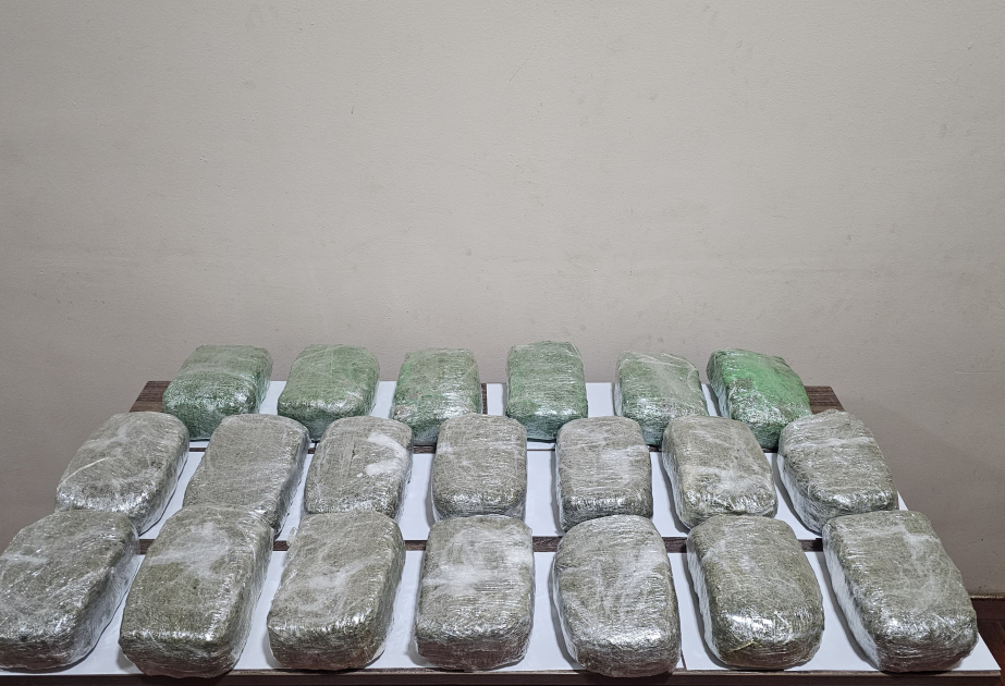 Предотвращена контрабанда наркотиков в крупном размере