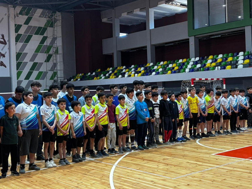 
Программа Всемирной федерации бадминтона Shuttle Time в Лянкяране