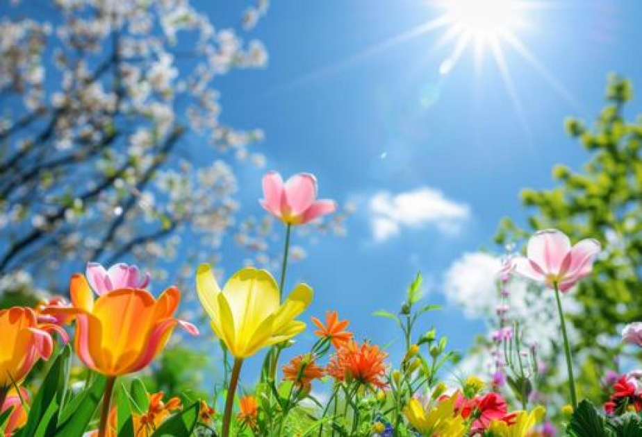 Обнародован прогноз погоды на 8 апреля