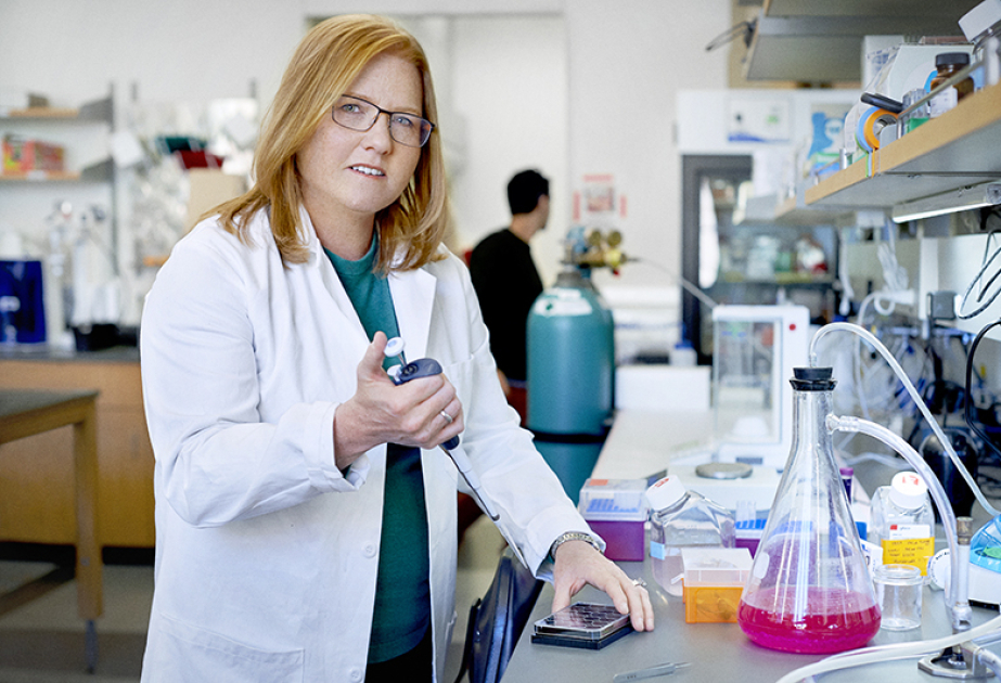 
300 тысяч женщин будут участвовать в исследовании