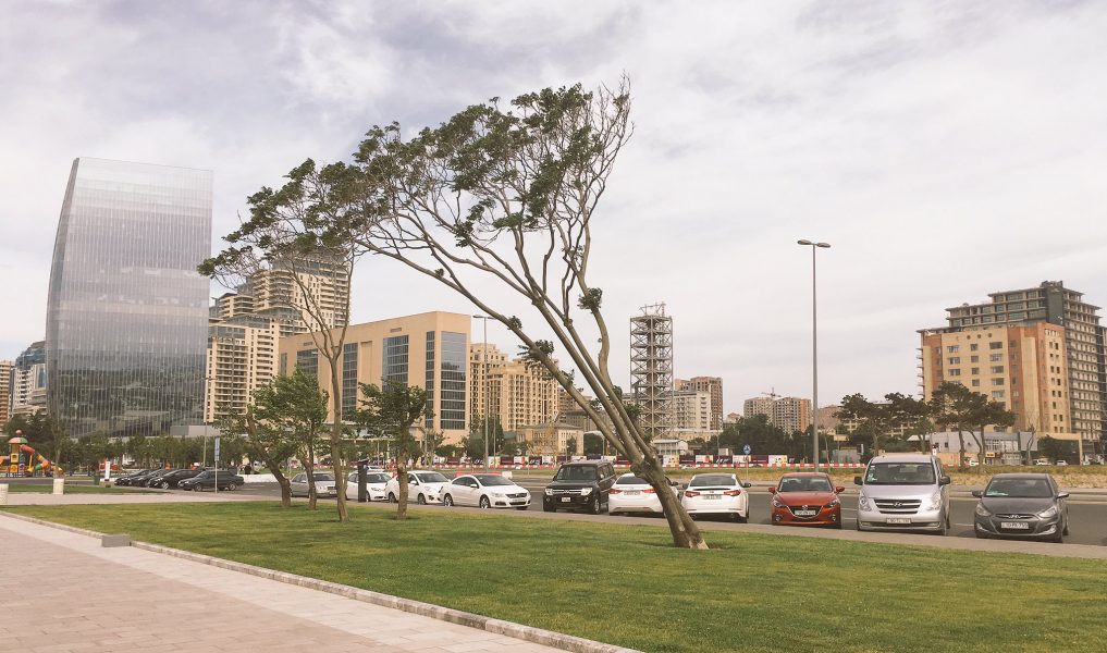 В связи с ветреной погодой объявлены желтое и оранжевое предупреждения