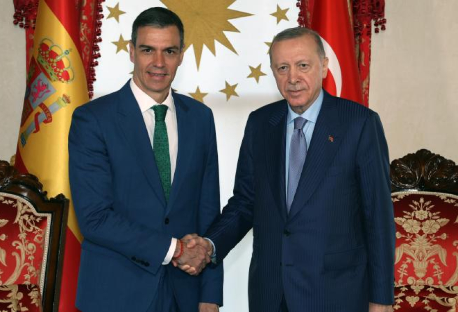 Президент Турции призвал к дипломатическому урегулированию кризиса вокруг Ирана