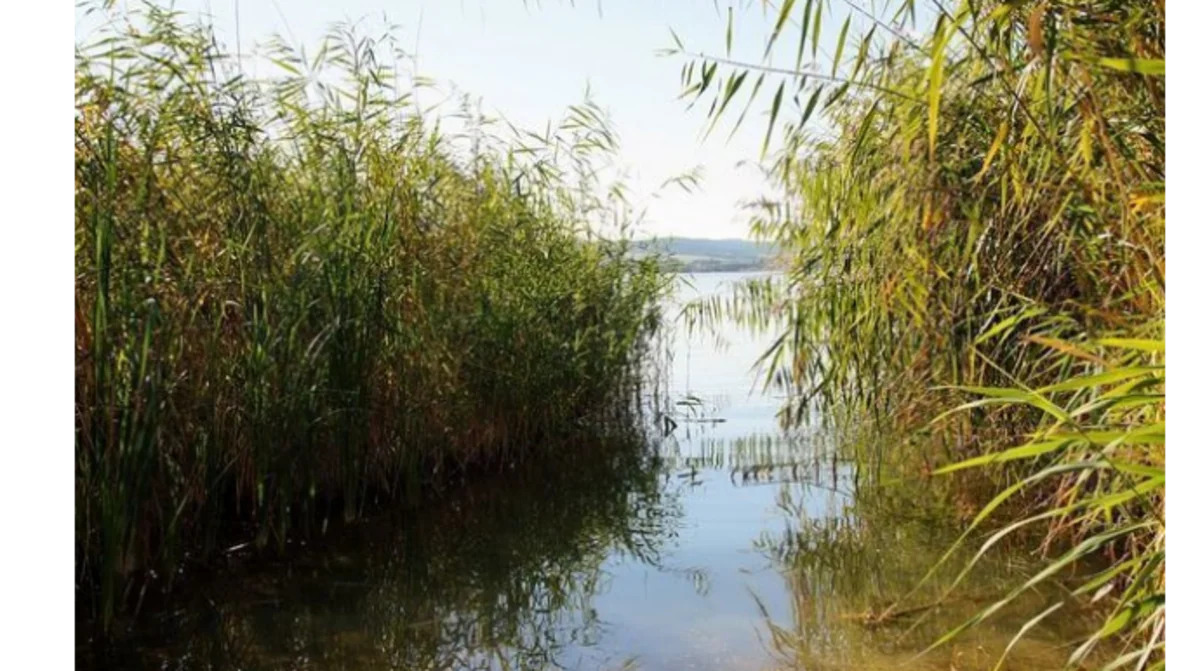 
В Гобустане 9-летний мальчик утонул в пруду