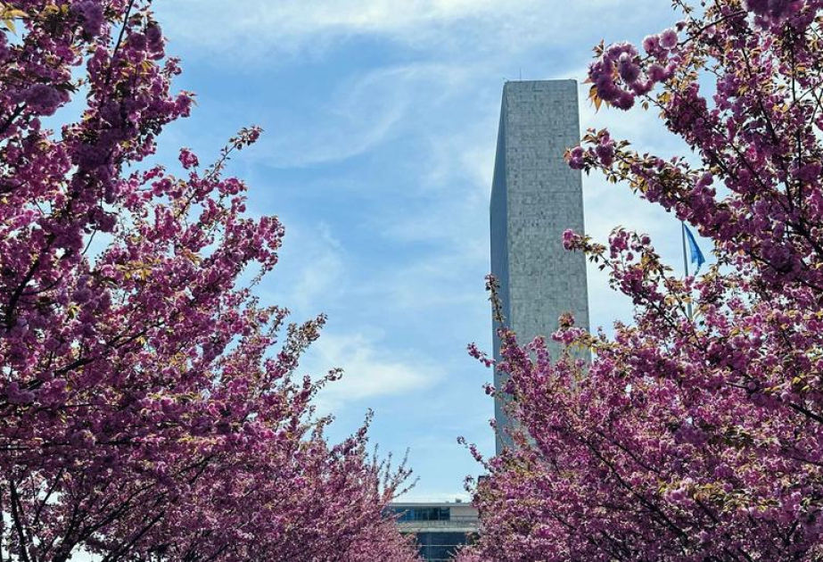 Глава ООН приветствует прекращение огня между США и Ираном