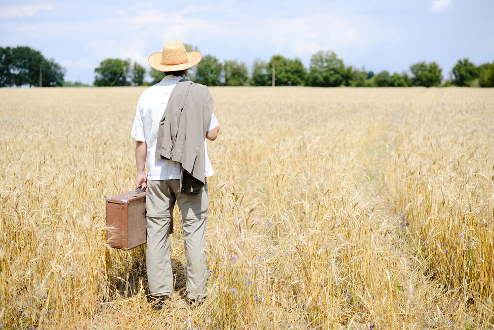 Обратная миграция
