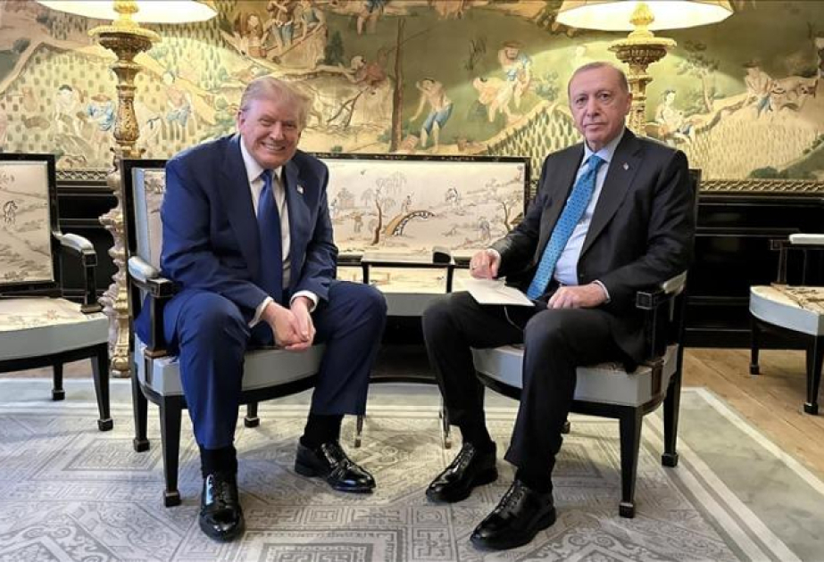 Эрдоган заявил Трампу о готовности Турции к вкладу в мирные усилия по Ирану