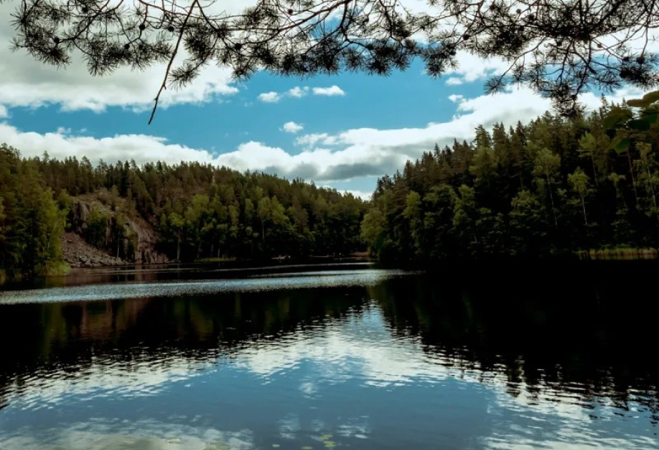 TikTok инвестирует еще 1 миллиард евро в дата-центр в Финляндии