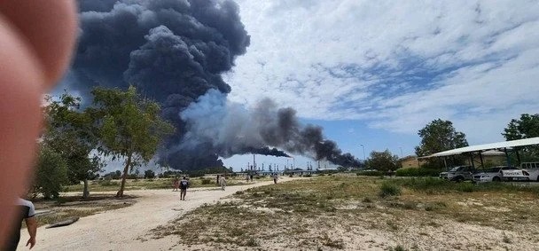 &laquo;Ревущий лев&raquo; распоясался