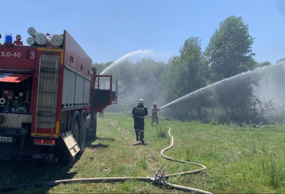 
Казахстан привел в готовность более 50 тысяч человек личного состава к пожароопасному сезону