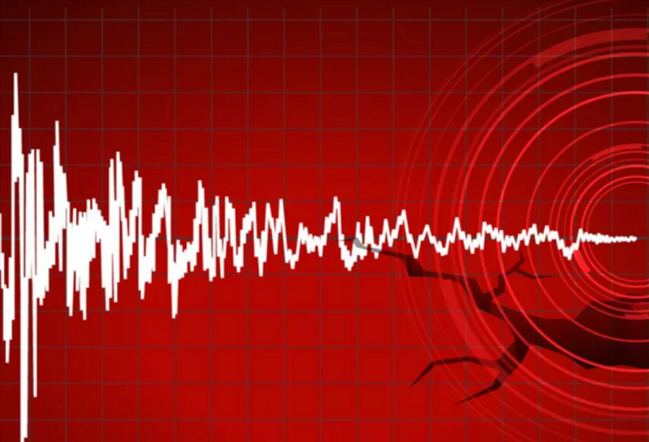 
Сейсмолог объяснила причину последовательных землетрясений на Каспии
