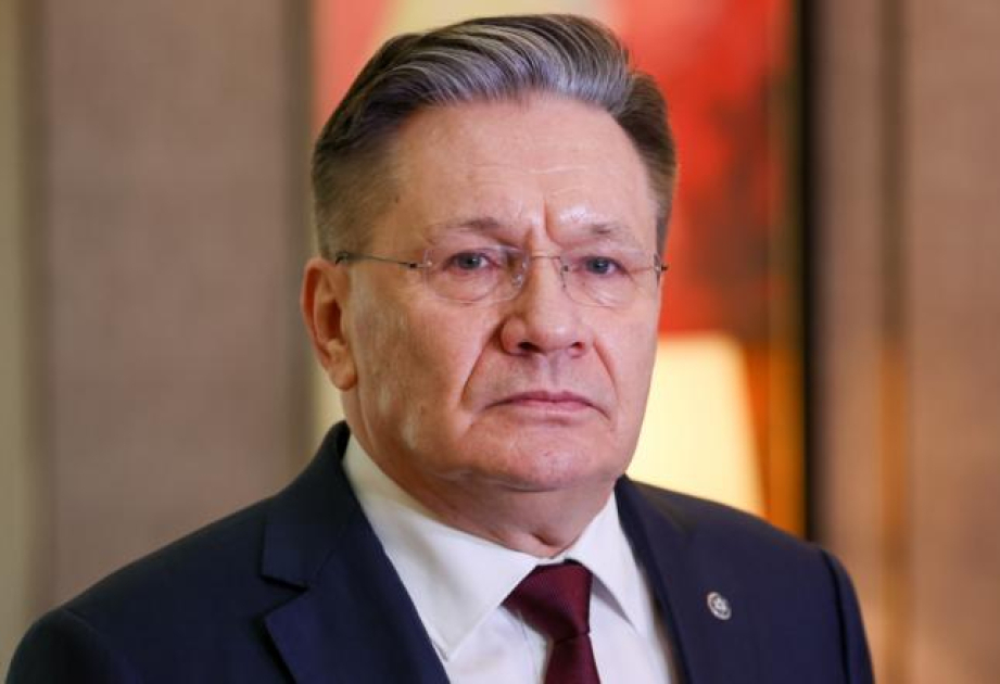 
Россия рассматривает возможность возобновления проекта &laquo;Бушер&raquo;