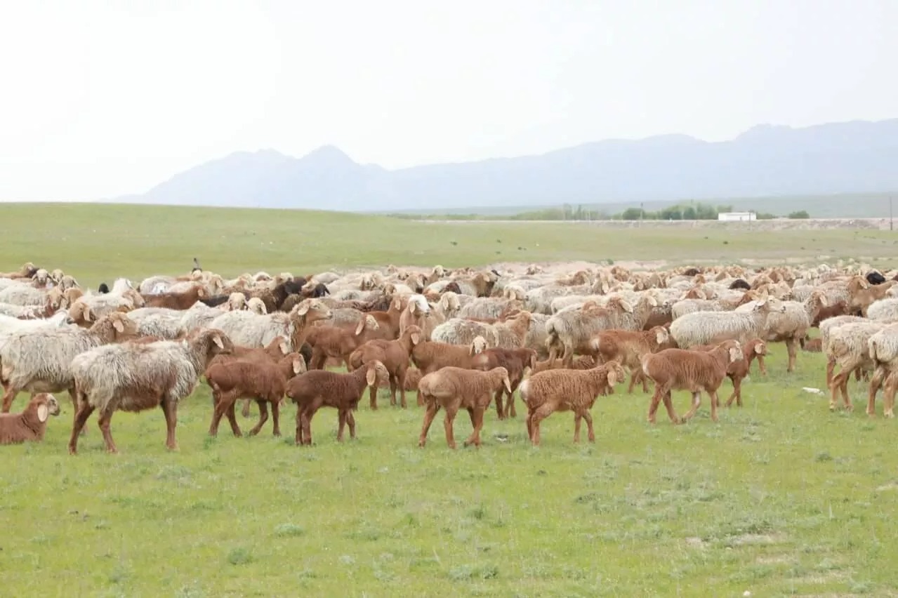 Будущее на алтаре сиюминутной выгоды
