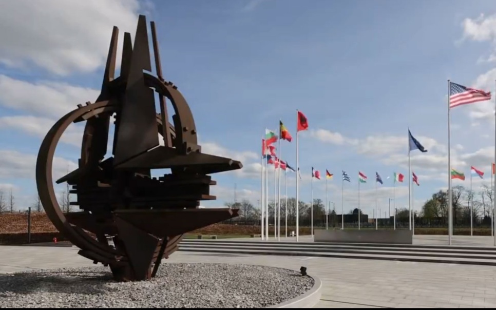 Европа готова на любое наказание, лишь бы США не вышли из НАТО