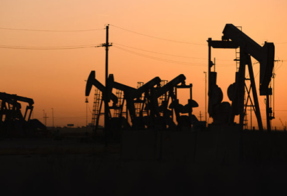 Цена барреля азербайджанской нефти составила 119 долларов