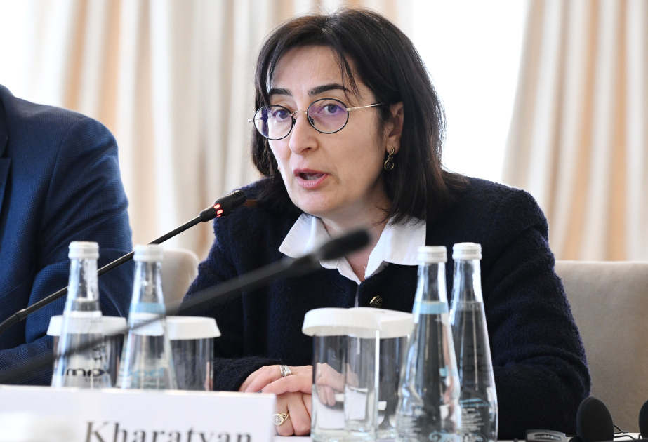 Армянская писательница: Чем меньше в медиа будет агрессии, тем качественнее и устойчивее станет мирный процесс