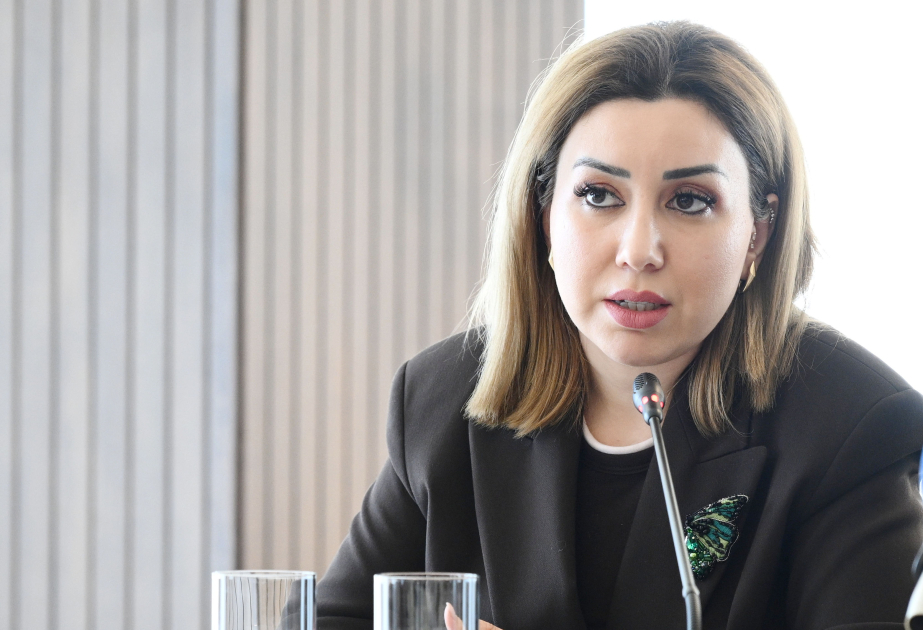 Главный редактор сайта 1news.az: Роль медиа в построении диалога крайне высока