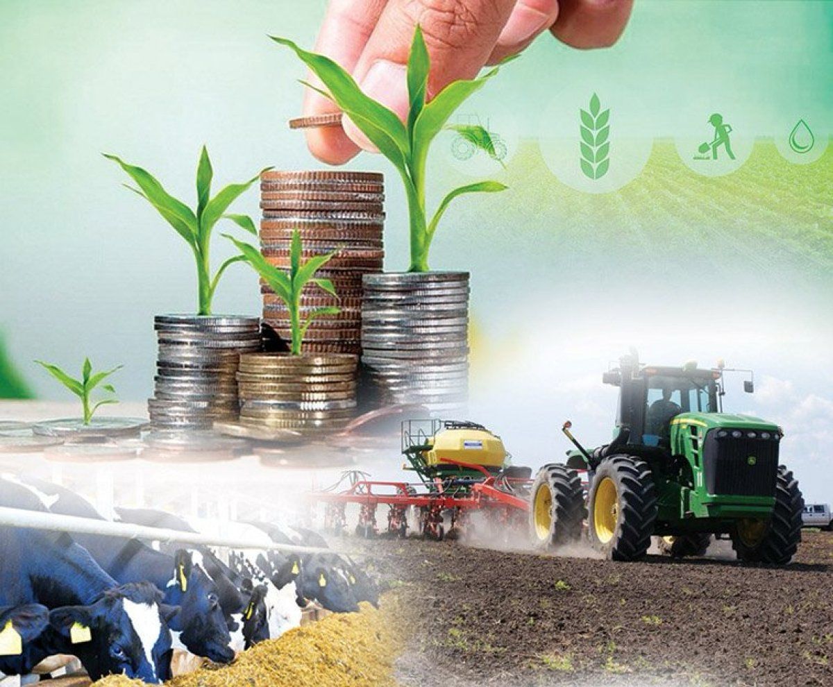 
В Азербайджане вырос портфель бизнес-кредитов в сельскохозяйственном секторе