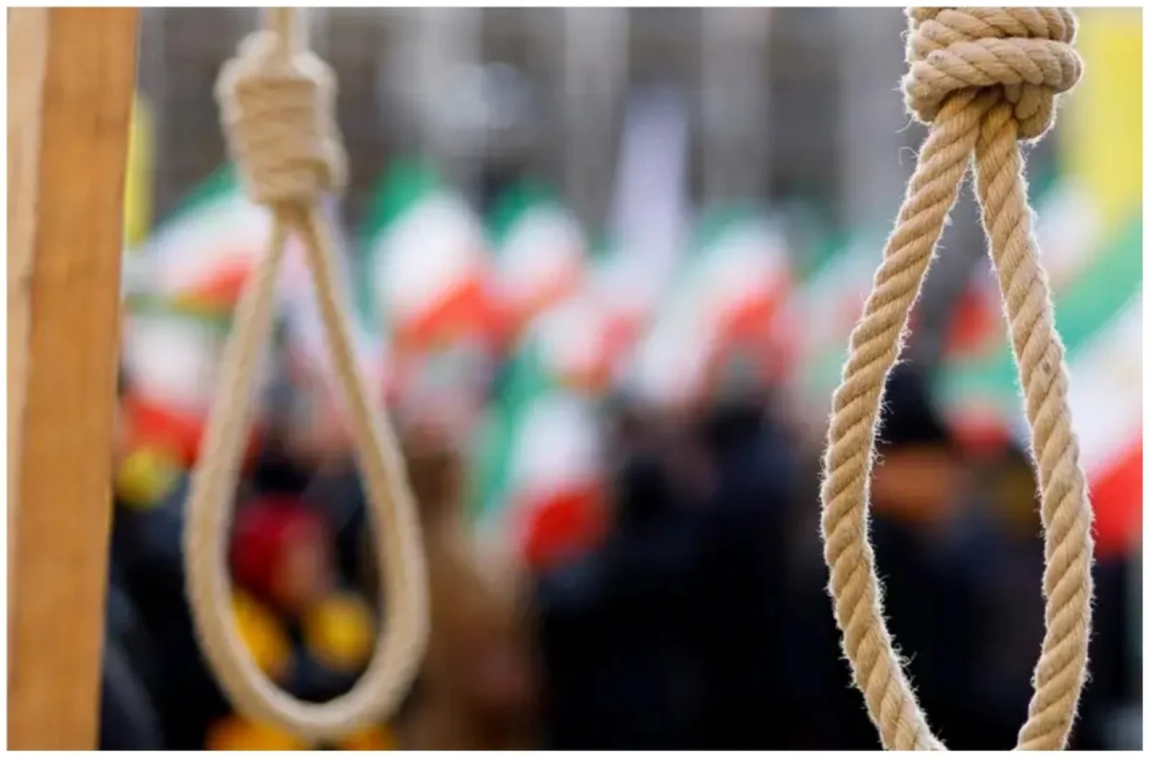 
НПО: В Иране в 2025 году казнили около 1,64 тыс. человек