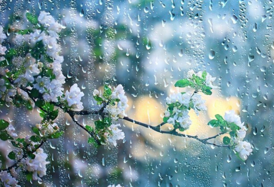 
Завтра в некоторых регионах ожидаются дожди и снег