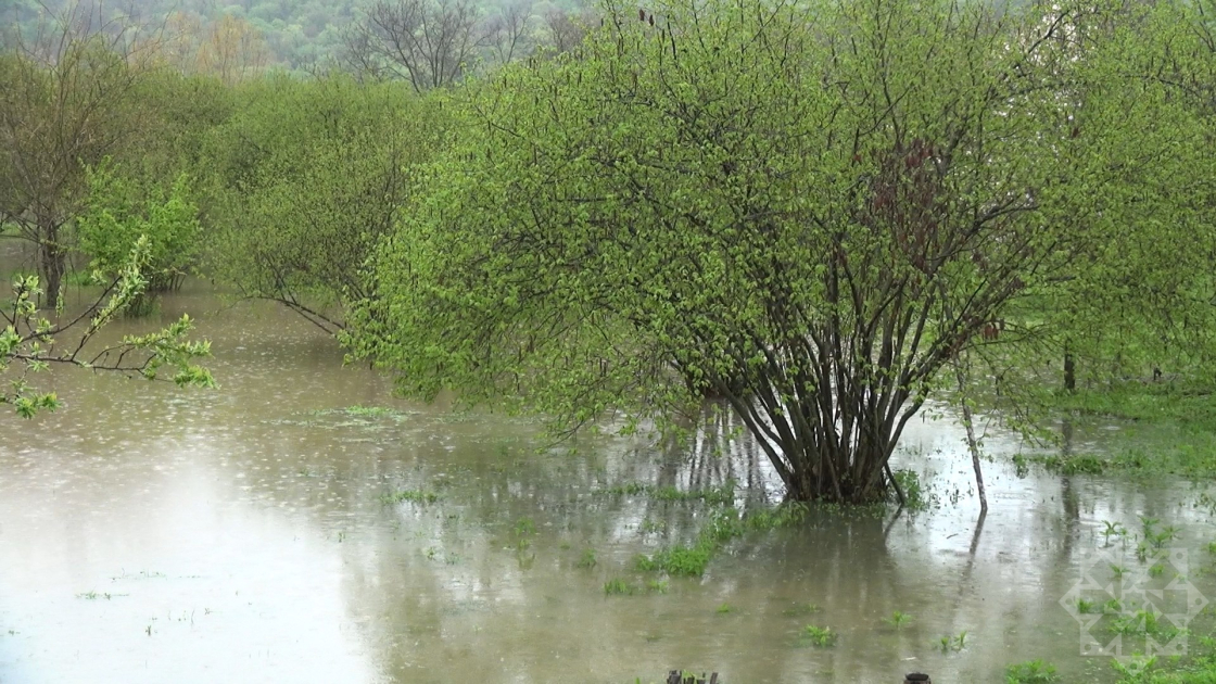 Интенсивные дожди нанесли ущерб частным хозяйствам в Балакяне