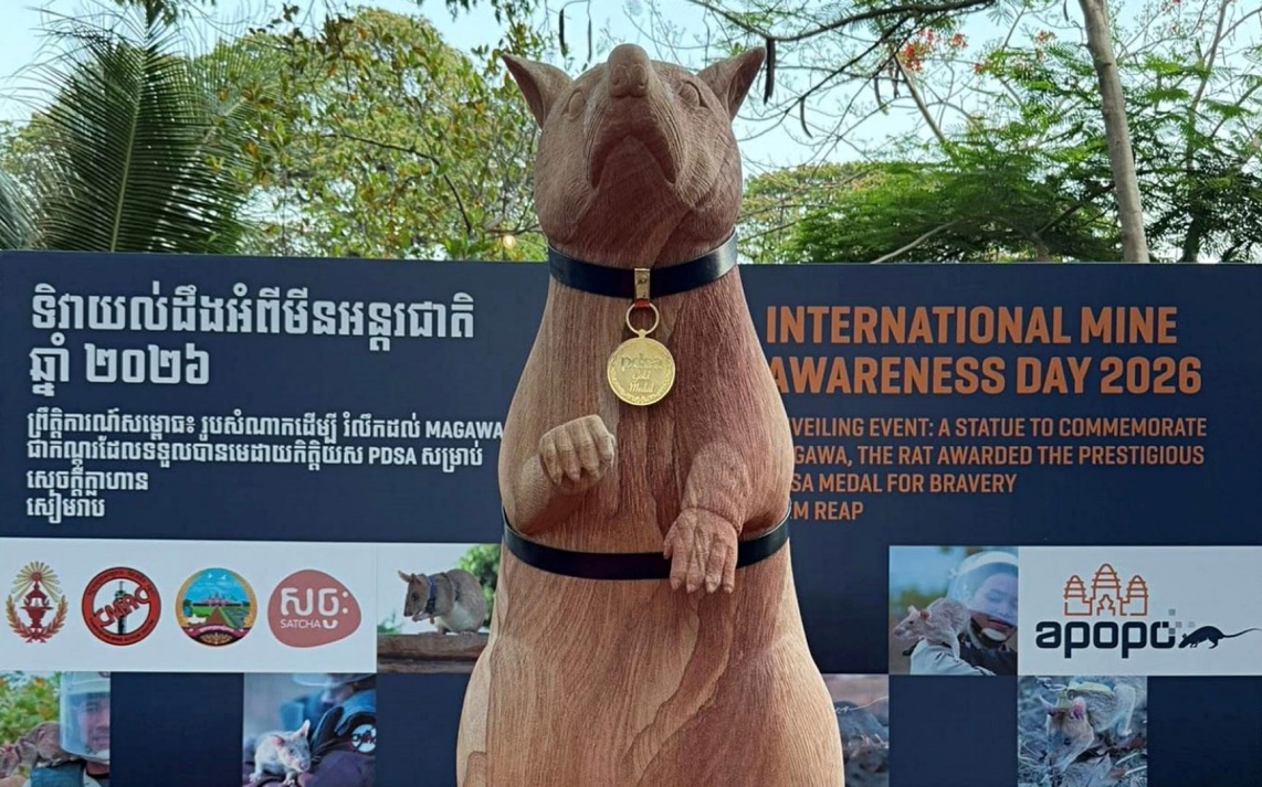 В Камбодже установили памятник крысе-саперу, которая обнаружила свыше 100 мин