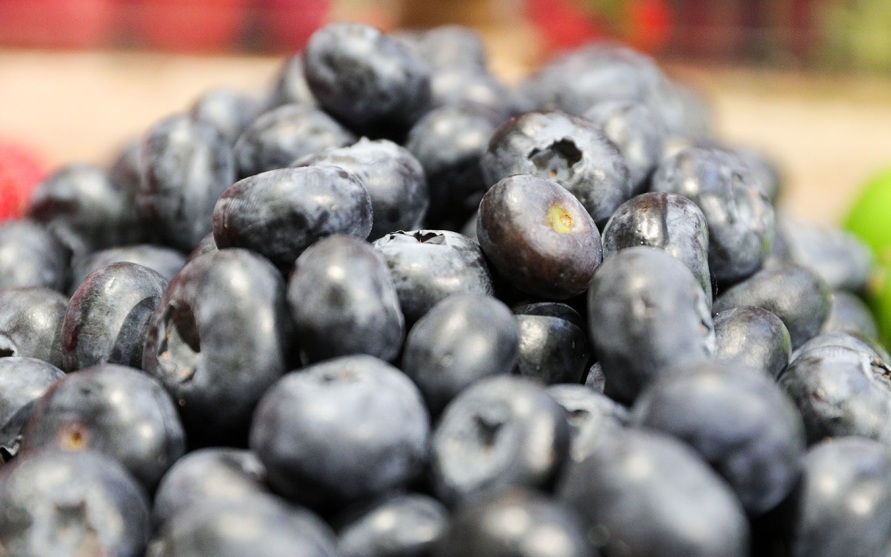 Врач опровергла миф, что черника способна улучшить зрение
